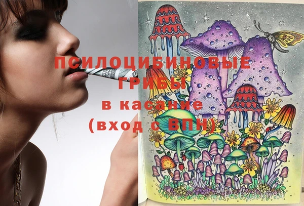ешки Балахна