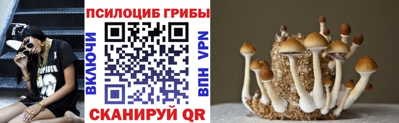 Псилоцибиновые грибы MAGIC MUSHROOMS Верхняя Салда